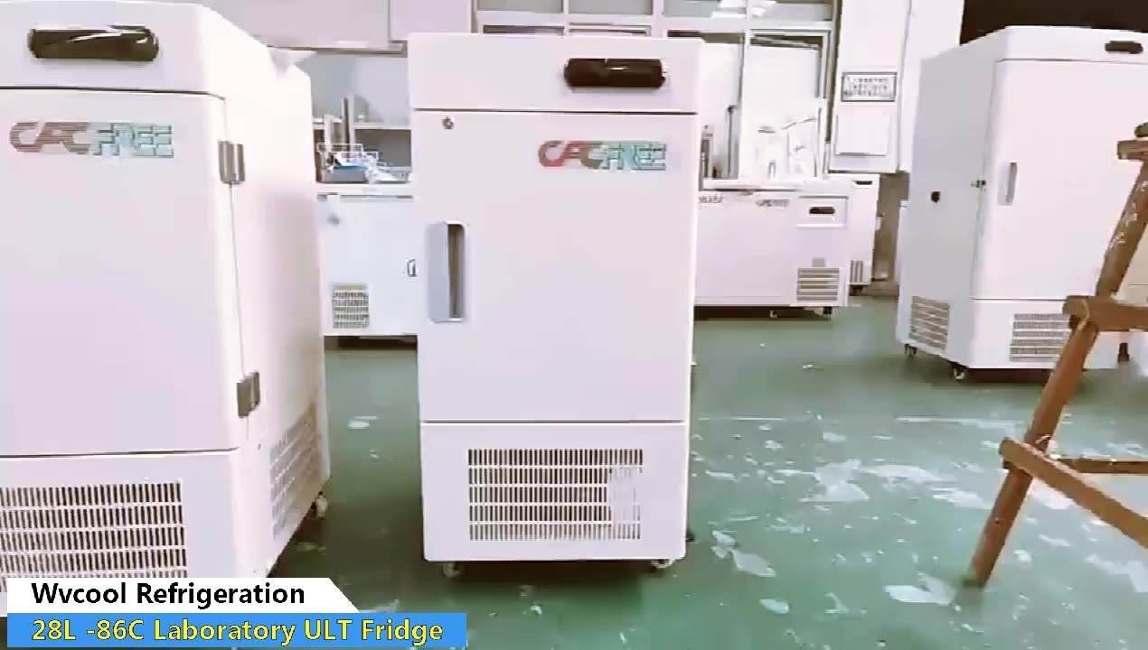 -86 độ Phòng thí nghiệm Mini thẳng đứng cho tủ đông nhiệt độ cực thấp