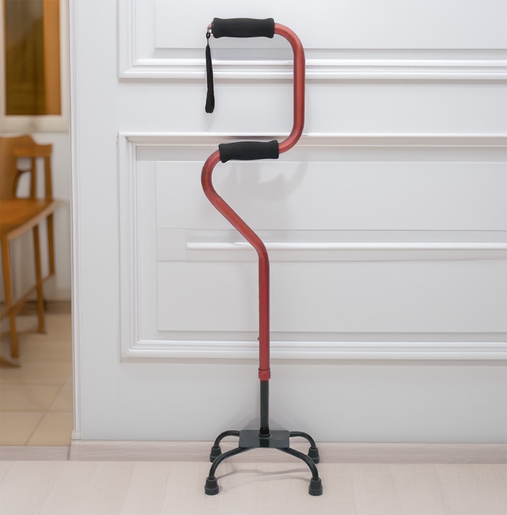 BME40013 Bốn chân đi bộ chân